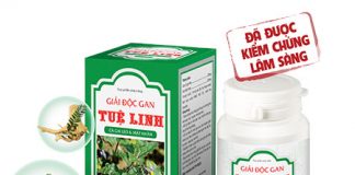 giải độc gan