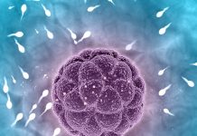 Điểm mặt 7 nguyên nhân khiến nam giới không có tinh trùng Nguyên nhân khiến nam giới không có tinh trùng