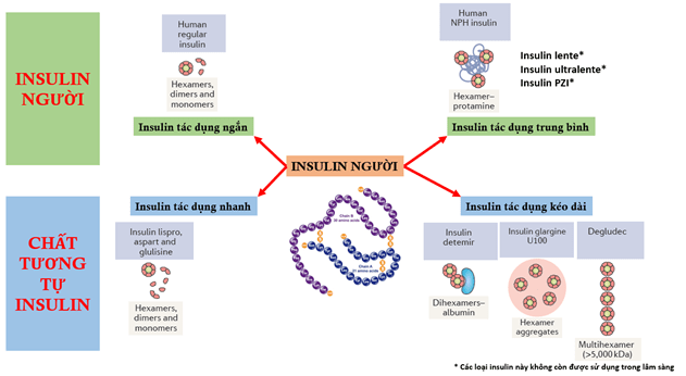 Sử dụng insulin trong lâm sàng