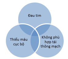 Hình 2: Các thành tố cần được khảo sát trước khi chẩn đoán đau thắt ngực tái phát trơ với điều trị [11].