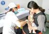 Tiêm vắc xin Combe Five hơn 200 trẻ miền Tây nhập viện theo dõi vaccine