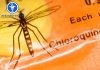 Chloroquine điều trị sốt rét có tốt không? Tác dụng phụ cần lưu ý Chloroquine