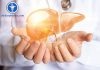 Những thực phẩm tốt và cực xấu đối với sức khỏe của gan Ăn gì tốt cho gan? Thực phẩm nào gây hại cho gan?