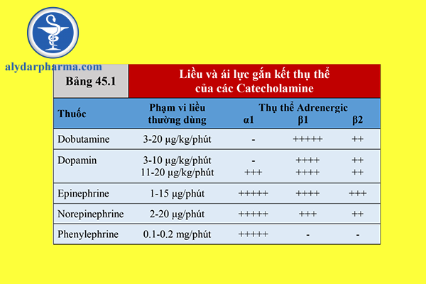Liều và ái lực gắn kết thụ thể của các Catecholamine