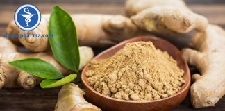 11 lợi ích sức khỏe tuyệt vời của gừng đã được khoa học chứng minh