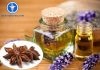 TINH DẦU HỒI CÓ TÁC DỤNG GÌ? CÁCH SỬ DỤNG DẦU HỒI Tinh dầu hồi có tác dụng gì?