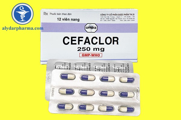 Liều dùng của thuốc Cefaclor