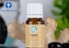 TINH DẦU GỪNG CÓ TÁC DỤNG GÌ? MUA DẦU GỪNG Ở ĐÂU? Tình dầu gừng có tác dụng gì