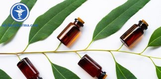Tinh dầu khuynh diệp có tác dụng gì