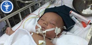 Vaccine Bệnh Sởi "You can't fix stupid"