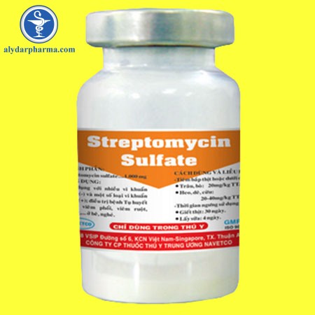 Chống chỉ định của thuốc Streptomycin