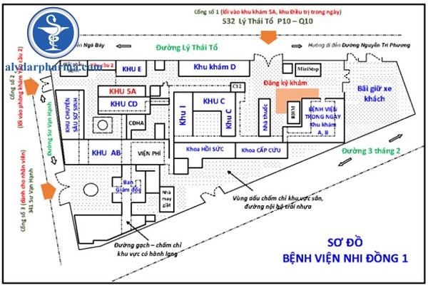 Giới thiệu sơ đồ bv Nhi Đồng 1