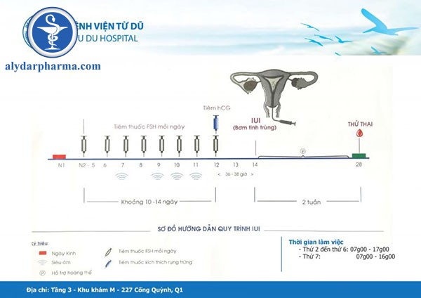 Thụ tinh nhân tạo qua các quy trình