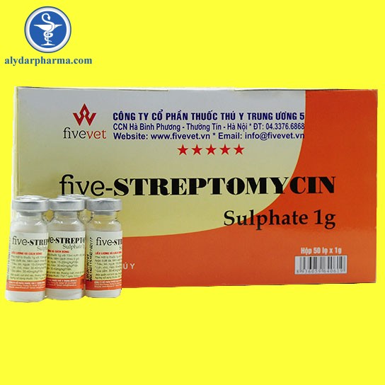 Thông tin về thuốc Streptomycin