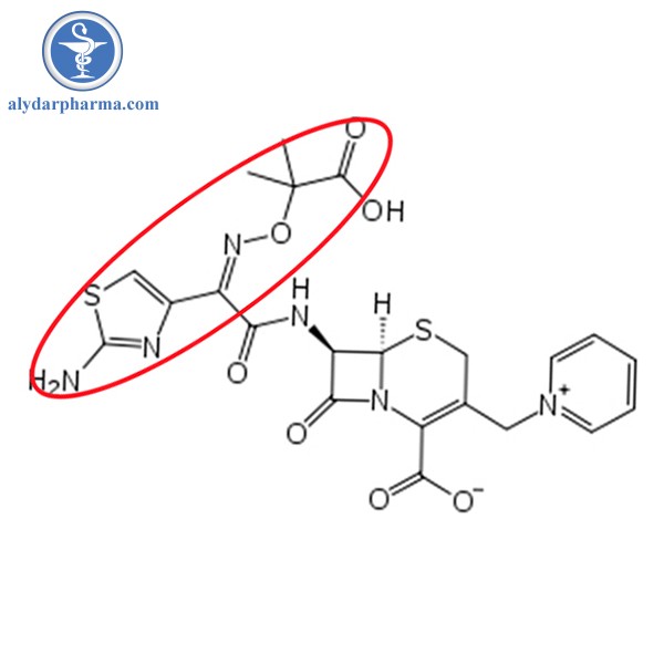 Ceftazidime bền với betalactamase do cấu trúc phần R cồng kềnh