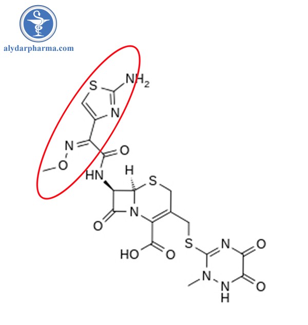 Ceftriaxon kháng được betalactamase do cấu trúc cồng kềnh