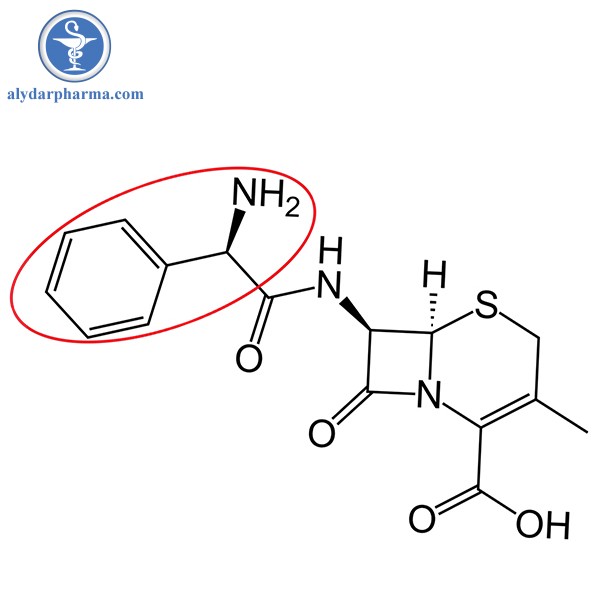 Cephalexin bền với acid dịch vị dạ dày 