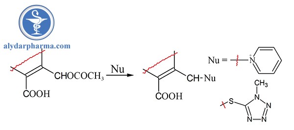 Cephalosporin là trung tâm thế ái nhân