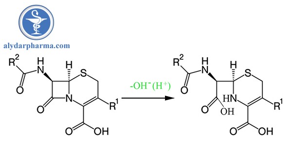 Thủy phân vòng betalactam của Cephalosporin