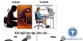 Bài tập tham khảo dành cho người có bệnh lý cột sống