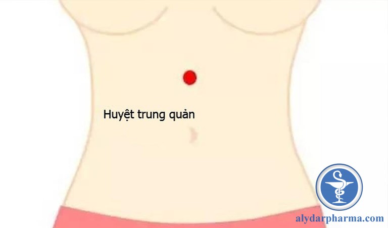 Huyệt Trung quản (CV12)