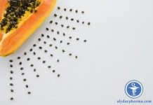Chất chiết từ hạt đu đủ Carica làm giảm khả năng di động của tinh trùng