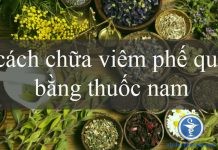 5 cách chữa viêm phế quản bằng thuốc nam