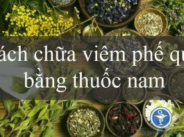 5 cách chữa viêm phế quản bằng thuốc nam