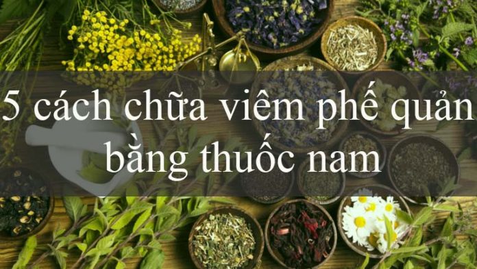 5 cách chữa viêm phế quản bằng thuốc nam