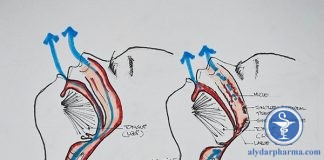 Ngáy và các dấu hiệu nguy hiểm