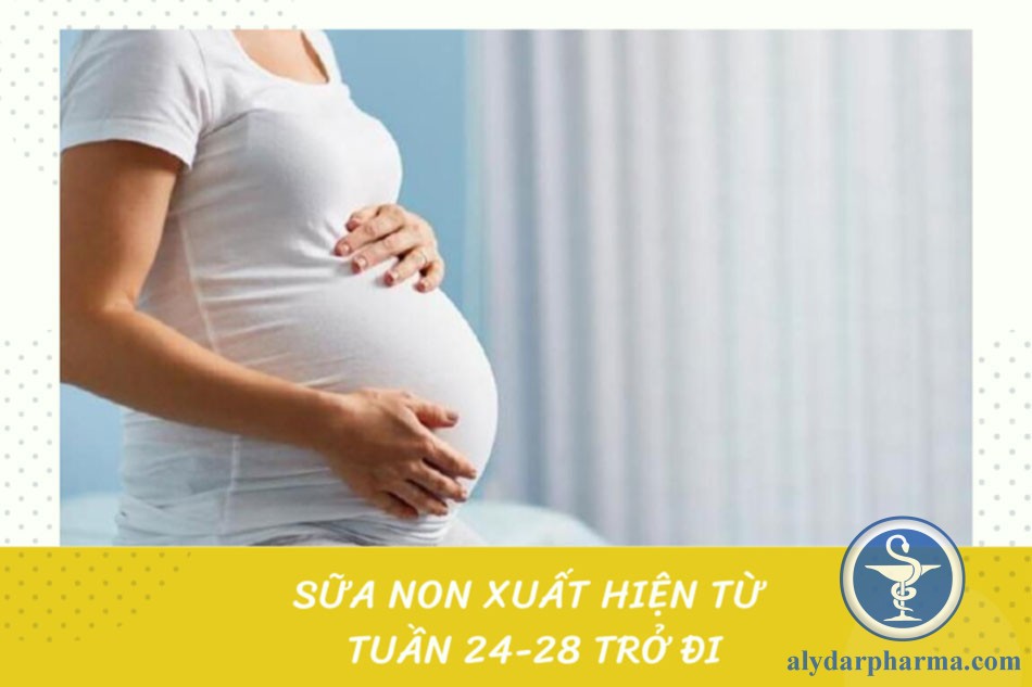 Thông thường, sữa non sẽ xuất hiện từ tuần 24 đến tuần 28 của thai kì trở đi