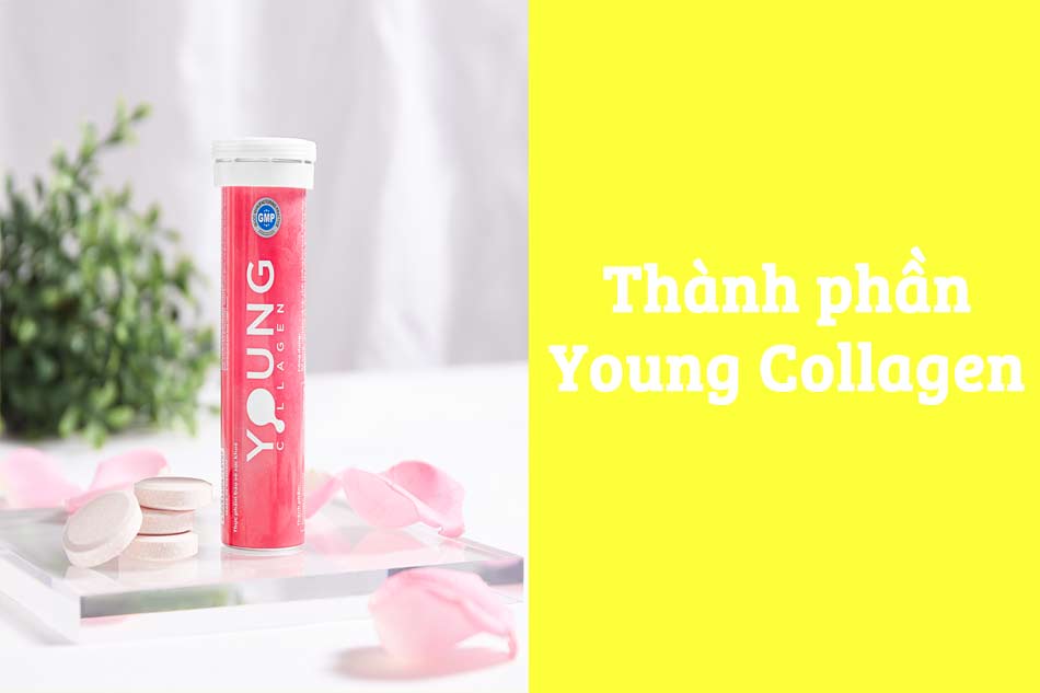 Thành phần Young Collagen