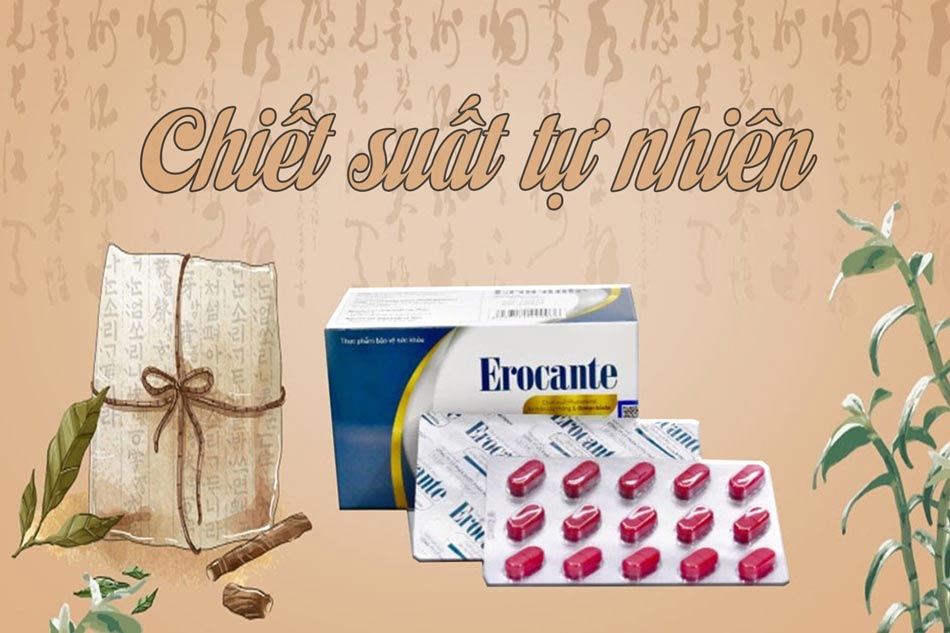 Erocante thực phẩm bảo vệ mái tóc từ tự nhiên