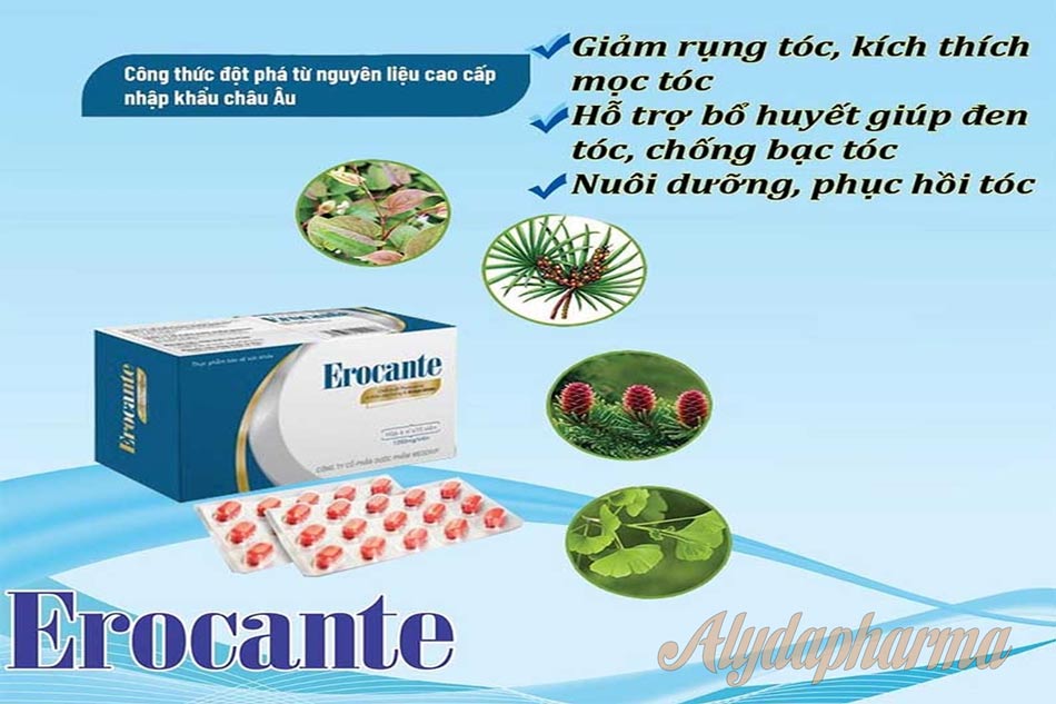 Thành phần Erocante từ tự nhiên