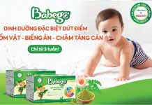 Sữa non thảo dược Babego
