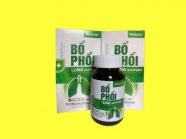 Bổ phổi lung support