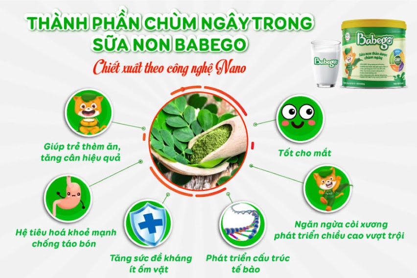 Chùm ngây nano trong sữa non Babego