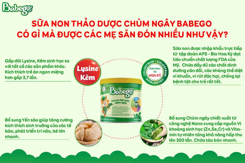 Thành phần của sữa non thảo dược chùm ngây Babego