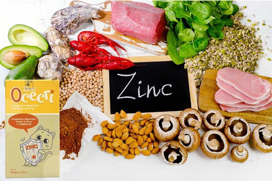 Zinc Ocecri bổ sung Kẽm